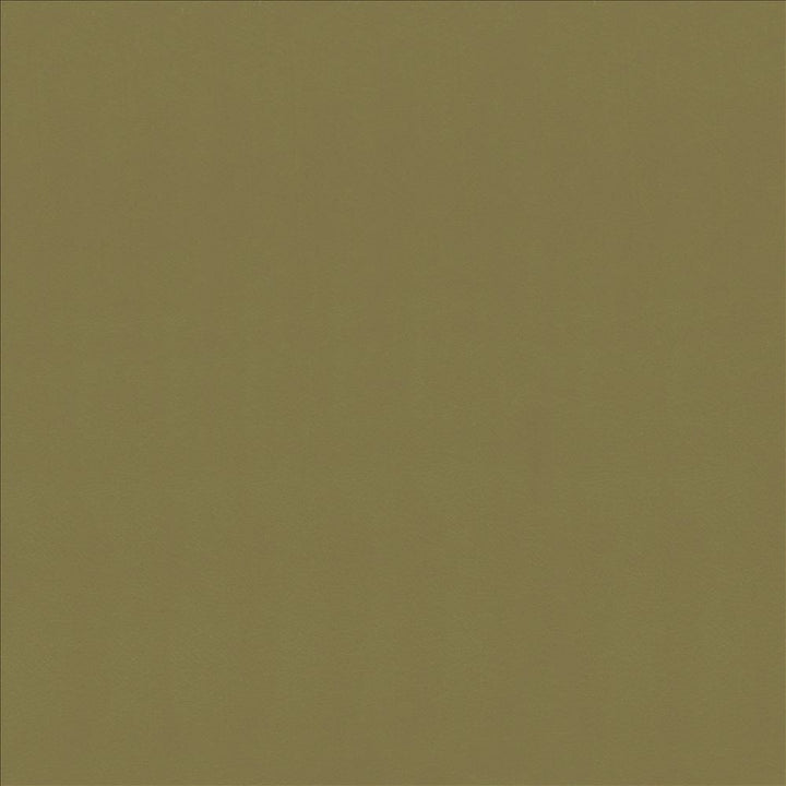 Odin Lichen by Kasmir Designer Fabric 5127 100% Polyurethane
 CHINA 100,000 Wyzenbeek Double Rubs </p><p>Repeat: Horizontal: N/A and Vertical: N/A 53 - Swanky Fabrics -