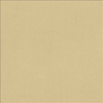 Odin Linen by Kasmir Designer Fabric 5127 100% Polyurethane CHINA 100,000 Wyzenbeek Double Rubs H: N/A, V: N/A 54 - Swanky Fabrics - Kasmir