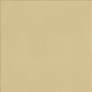 Odin Linen by Kasmir Designer Fabric