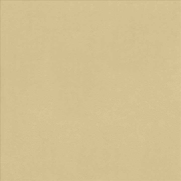 Odin Linen by Kasmir Designer Fabric 5127 100% Polyurethane CHINA 100,000 Wyzenbeek Double Rubs Horizontal: 0 Inches and Vertical: 0 Inches 54 - Swanky Fabrics -