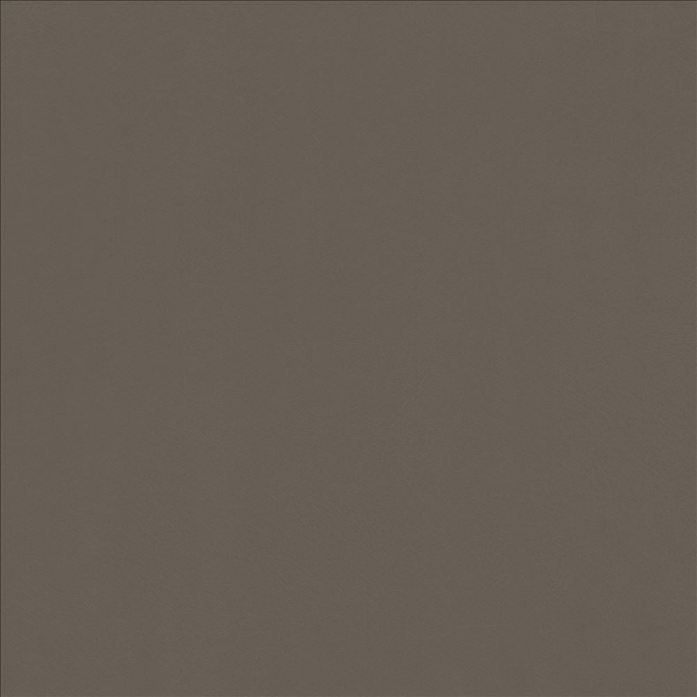Odin Oxford by Kasmir Designer Fabric 5127 100% Polyurethane
 CHINA 100,000 Wyzenbeek Double Rubs </p><p>Repeat: Horizontal: N/A and Vertical: N/A 53 - Swanky Fabrics -