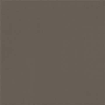 Odin Oxford by Kasmir Designer Fabric 5127 100% Polyurethane CHINA 100,000 Wyzenbeek Double Rubs H: N/A, V: N/A 54 - Swanky Fabrics - Kasmir