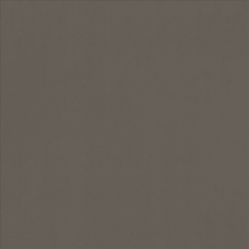 Odin Oxford by Kasmir Designer Fabric 5127 100% Polyurethane
 CHINA </p><p>Repeat: Horizontal: N/A and Vertical: N/A 53 - Swanky Fabrics -