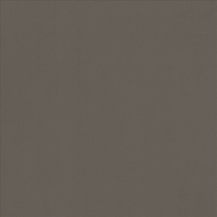 Odin Oxford by Kasmir Designer Fabric 5127 100% Polyurethane
 CHINA </p><p>Repeat: Horizontal: N/A and Vertical: N/A 53 - Swanky Fabrics -