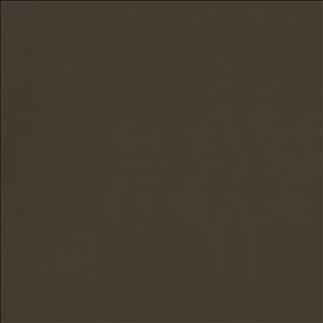 Odin Walnut by Kasmir Designer Fabric 5127 100% Polyurethane CHINA 100,000 Wyzenbeek Double Rubs H: N/A, V: N/A 54 - Swanky Fabrics - Kasmir
