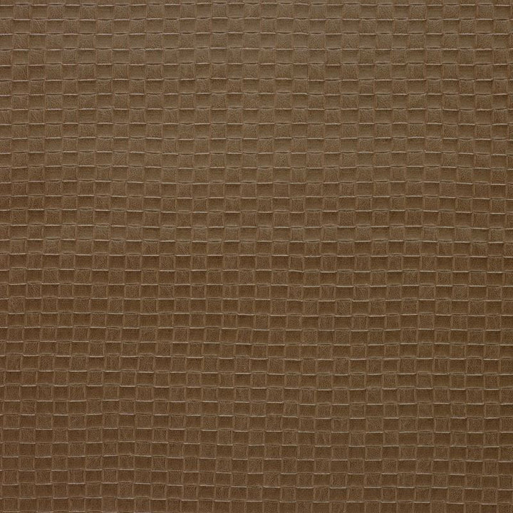 OLIA.1616 by Kravet Design Designer Fabric our website for purchase 100% Leather Korea, Republic of Heavy Horizontal: 1 inch and Vertical: 1 inch 54 inches - Swanky Fabrics -