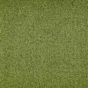 Oswego Lime by Europatex Designer Fabric