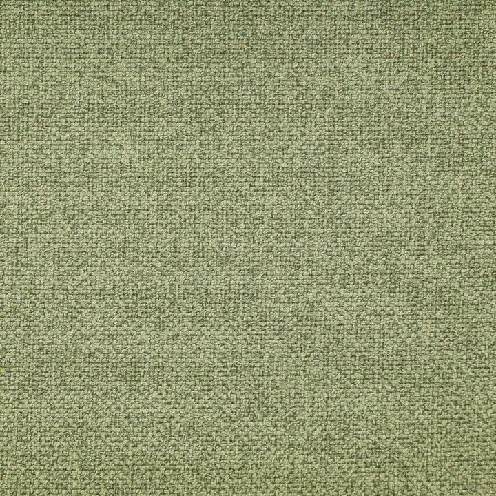 Oswego Rosemary by Europatex Designer Fabric Oswego 100% Polyester 0.00" 55.00 inches - Swanky Fabrics -