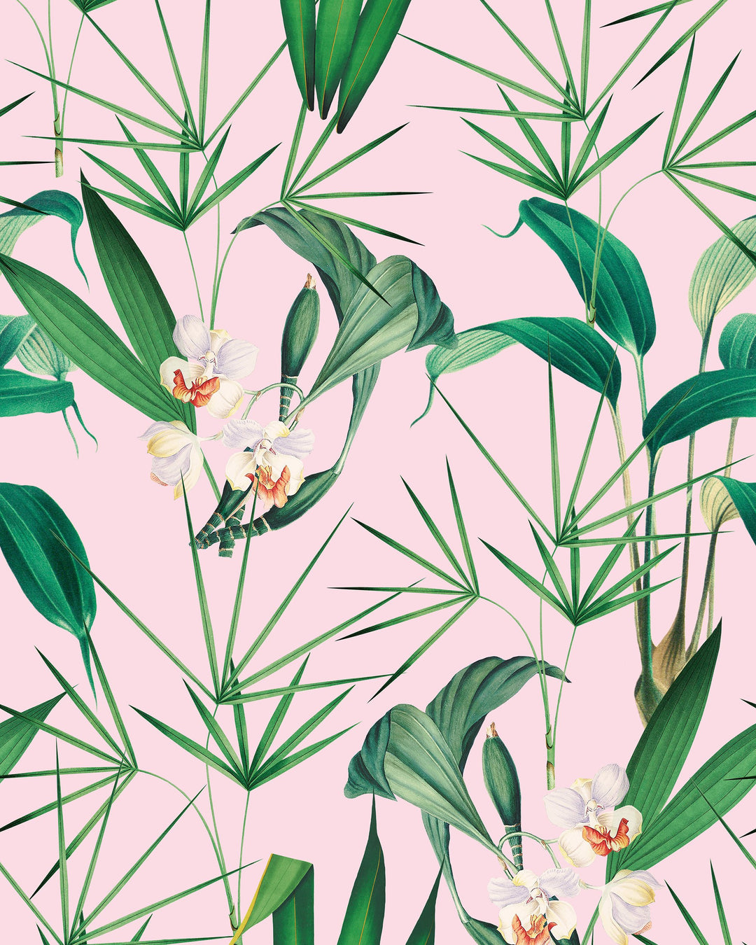 Palm Springs wallpaper by Mind the Gap (WP20361), swatch