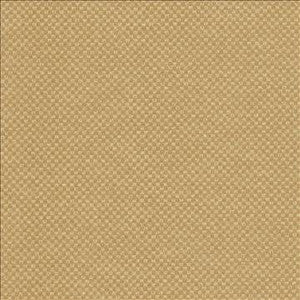 Paquin Harvest by Kasmir Designer Fabric
