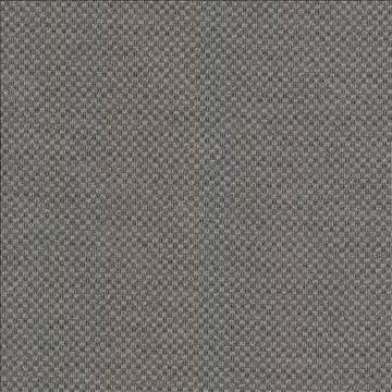 Paquin Oxford by Kasmir Designer Fabric 5100 55% Cotton 45% Polyester TAIWAN 30,000 Wyzenbeek Double Rubs H: 4/8 inches, V: 4/8 inches 54 - 55 - Swanky Fabrics - Kasmir