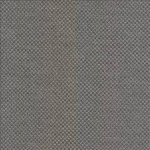 Paquin Oxford by Kasmir Designer Fabric