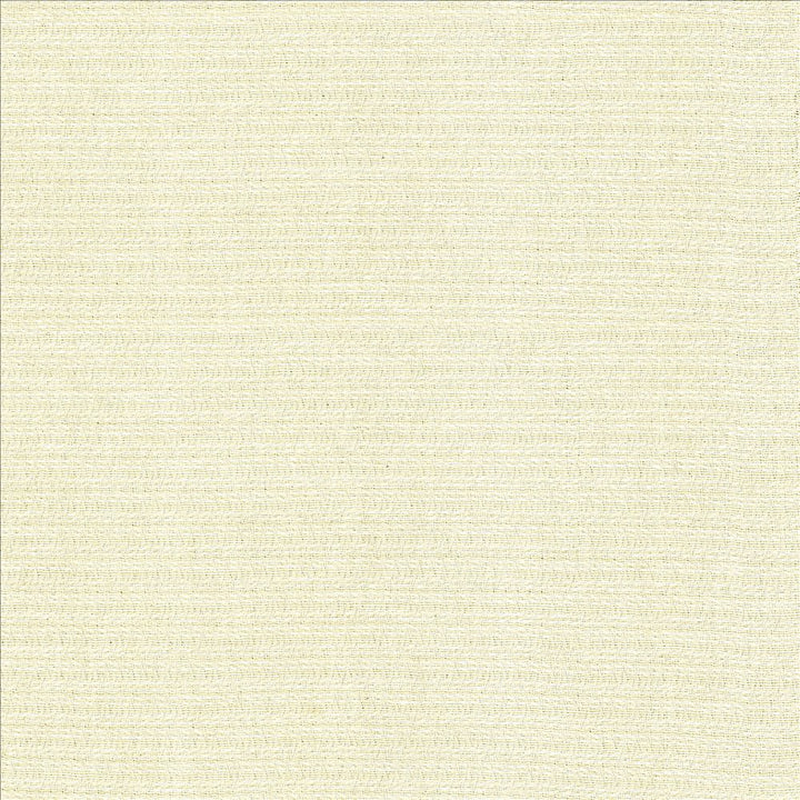 Patter Bleach by Kasmir Designer Fabric 5120 79% Recycled Cotton
21% Polyester
 USA </p><p>Repeat: Horizontal: 2/8 inches and Vertical: 6/8 inches 54 - Swanky Fabrics -