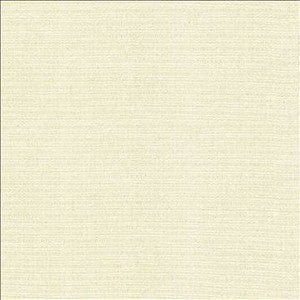 Patter Bleach by Kasmir Designer Fabric