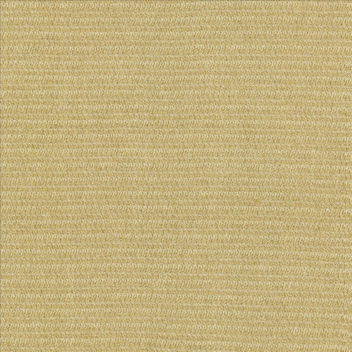 Patter Oatmeal by Kasmir Designer Fabric 5120 79% Recycled Cotton
21% Polyester
 USA </p><p>Repeat: Horizontal: 2/8 inches and Vertical: 6/8 inches 54 - Swanky Fabrics -