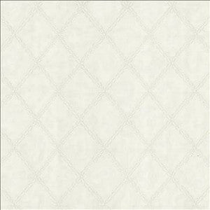 Peacekeeper Champagne by Kasmir Designer Fabric