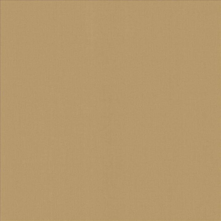 Perception Antique by Kasmir Designer Fabric 5174 100% Cotton
 INDIA 21,000 Wyzenbeek Double Rubs </p><p>Repeat: Horizontal: N/A and Vertical: N/A 54 - Swanky Fabrics -