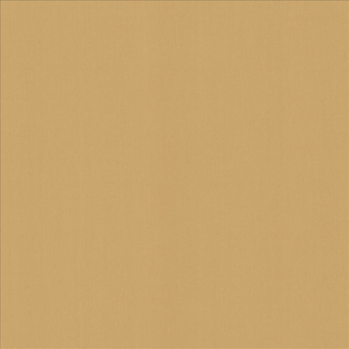 Perception Antique by Kasmir Designer Fabric 5174 100% Cotton
 INDIA </p><p>Repeat: Horizontal: N/A and Vertical: N/A 54 - Swanky Fabrics -