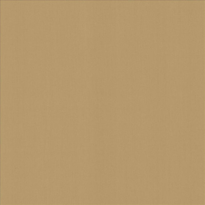 Perception Antique  by Kasmir Designer Fabric 5174 100% Cotton
 INDIA 21,000 Wyzenbeek Double Rubs Horizontal: N/A and Vertical: N/A 54  - Swanky Fabrics -