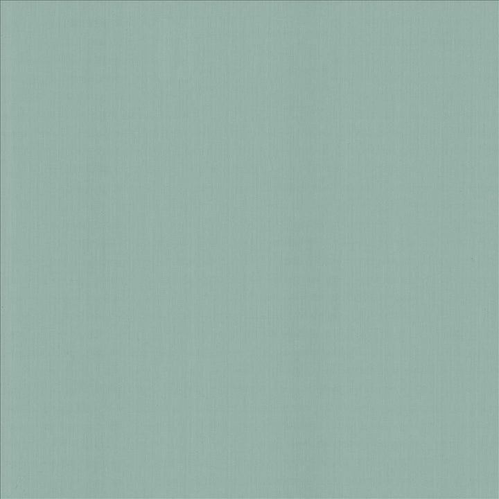 Perception Baltic  by Kasmir Designer Fabric 5174 100% Cotton
 INDIA 21,000 Wyzenbeek Double Rubs Horizontal: N/A and Vertical: N/A 54  - Swanky Fabrics -