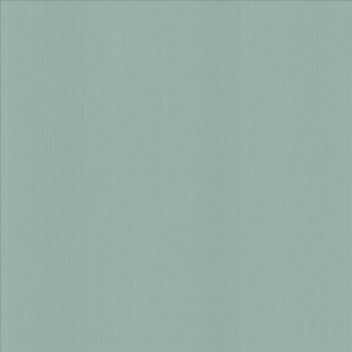 Perception Baltic by Kasmir Designer Fabric 5174 100% Cotton
 INDIA 21,000 Wyzenbeek Double Rubs </p><p>Repeat: Horizontal: N/A and Vertical: N/A 54 - Swanky Fabrics -