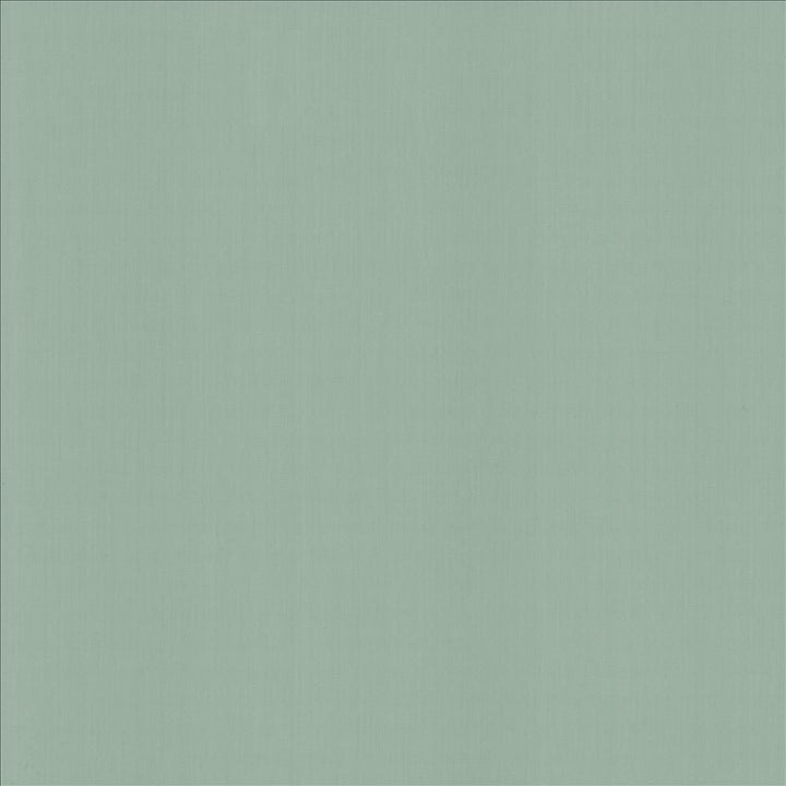 Perception Baltic by Kasmir Designer Fabric 5174 100% Cotton
 INDIA </p><p>Repeat: Horizontal: N/A and Vertical: N/A 54 - Swanky Fabrics -