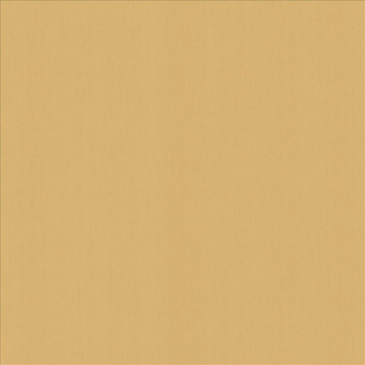 Perception Cashew by Kasmir Designer Fabric 5174 100% Cotton
 INDIA </p><p>Repeat: Horizontal: N/A and Vertical: N/A 54 - Swanky Fabrics -