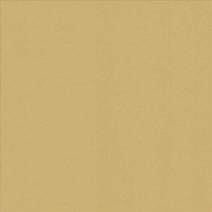 Perception Cashew by Kasmir Designer Fabric 5174 100% Cotton
 INDIA 21,000 Wyzenbeek Double Rubs </p><p>Repeat: Horizontal: N/A and Vertical: N/A 54 - Swanky Fabrics -
