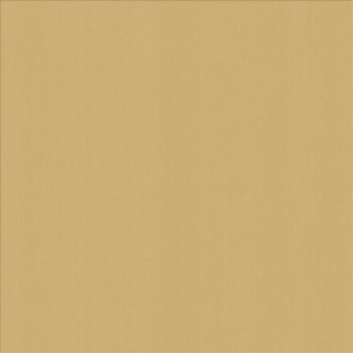 Perception Cashew  by Kasmir Designer Fabric 5174 100% Cotton
 INDIA 21,000 Wyzenbeek Double Rubs Horizontal: N/A and Vertical: N/A 54  - Swanky Fabrics -