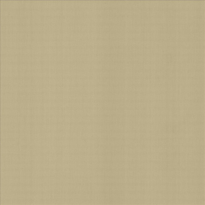 Perception Cement by Kasmir Designer Fabric 5174 100% Cotton
 INDIA 21,000 Wyzenbeek Double Rubs </p><p>Repeat: Horizontal: N/A and Vertical: N/A 54 - Swanky Fabrics -