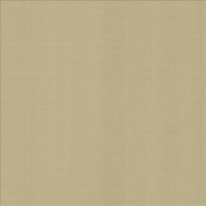 Perception Cement by Kasmir Designer Fabric