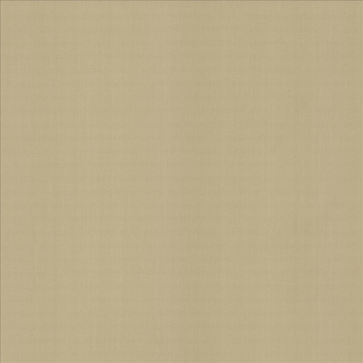 Perception Cement by Kasmir Designer Fabric 5174 100% Cotton
 INDIA </p><p>Repeat: Horizontal: N/A and Vertical: N/A 54 - Swanky Fabrics -