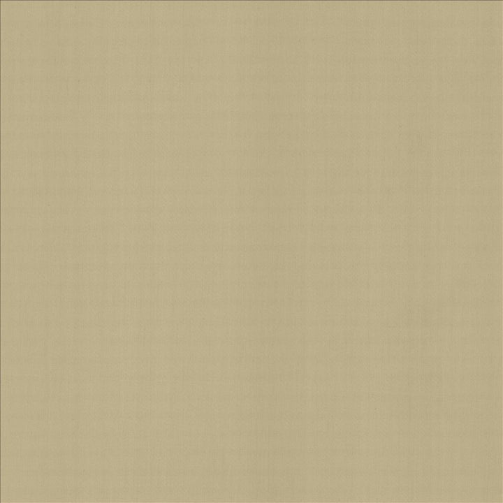 Perception Cement by Kasmir Designer Fabric See sample 100% Cotton
 INDIA 21,000 Wyzenbeek Double Rubs </p><p>Repeat: Horizontal: N/A and Vertical: N/A 54 - Swanky Fabrics -