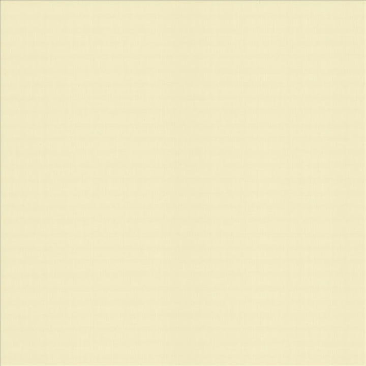 Perception Chamois  by Kasmir Designer Fabric 5174 100% Cotton
 INDIA 21,000 Wyzenbeek Double Rubs Horizontal: N/A and Vertical: N/A 54  - Swanky Fabrics -
