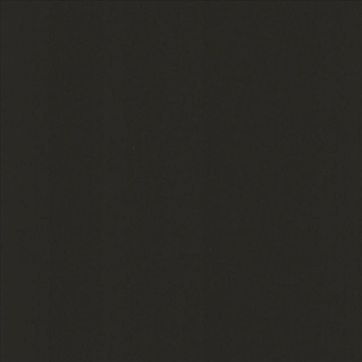 Perception Coal by Kasmir Designer Fabric 5174 100% Cotton
 INDIA 21,000 Wyzenbeek Double Rubs </p><p>Repeat: Horizontal: N/A and Vertical: N/A 54 - Swanky Fabrics -