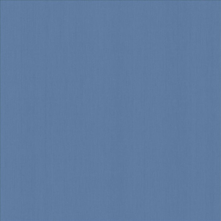 Perception Coastal by Kasmir Designer Fabric 5174 100% Cotton
 INDIA 21,000 Wyzenbeek Double Rubs </p><p>Repeat: Horizontal: N/A and Vertical: N/A 54 - Swanky Fabrics -