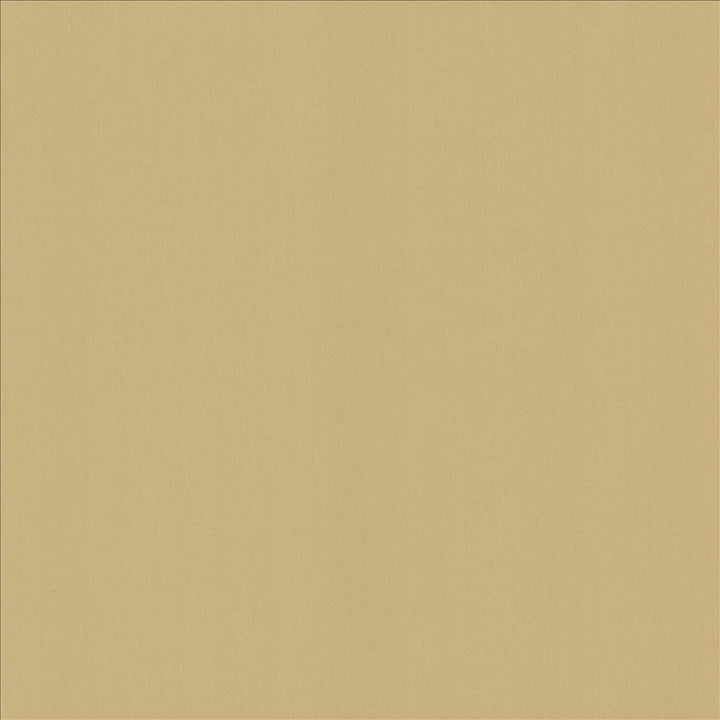 Perception Coconut by Kasmir Designer Fabric 5174 100% Cotton
 INDIA 21,000 Wyzenbeek Double Rubs </p><p>Repeat: Horizontal: N/A and Vertical: N/A 54 - Swanky Fabrics -