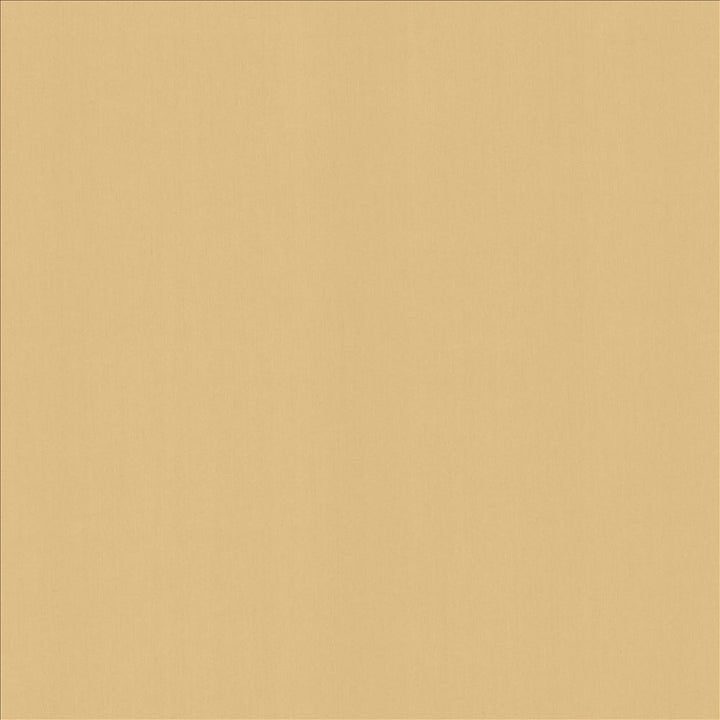 Perception Coconut by Kasmir Designer Fabric 5174 100% Cotton
 INDIA </p><p>Repeat: Horizontal: N/A and Vertical: N/A 54 - Swanky Fabrics -