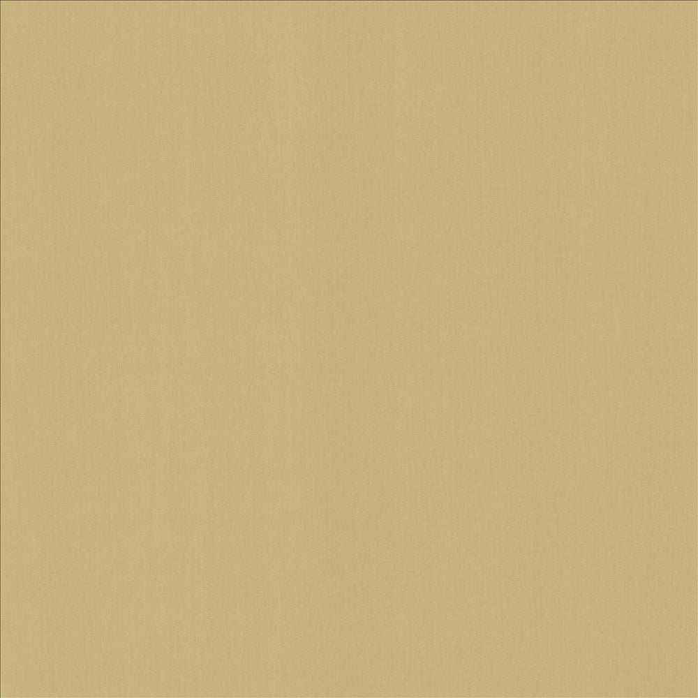 Perception Coconut  by Kasmir Designer Fabric 5174 100% Cotton
 INDIA 21,000 Wyzenbeek Double Rubs Horizontal: N/A and Vertical: N/A 54  - Swanky Fabrics -