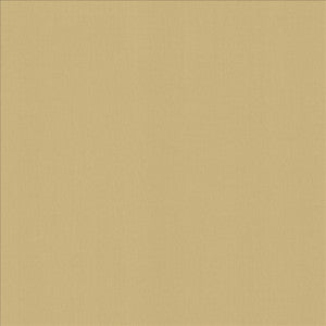Perception Coconut by Kasmir Designer Fabric