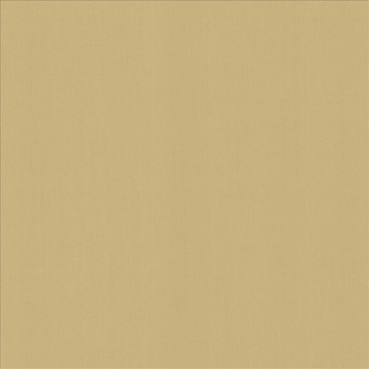 Perception Coconut by Kasmir Designer Fabric See sample 100% Cotton
 INDIA 21,000 Wyzenbeek Double Rubs </p><p>Repeat: Horizontal: N/A and Vertical: N/A 54 - Swanky Fabrics -