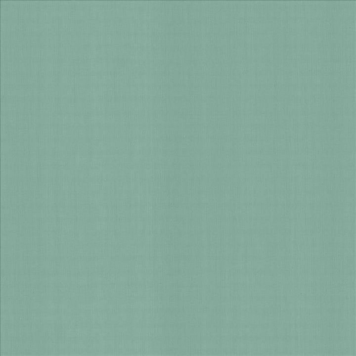 Perception Dew by Kasmir Designer Fabric 5174 100% Cotton
 INDIA 21,000 Wyzenbeek Double Rubs </p><p>Repeat: Horizontal: N/A and Vertical: N/A 54 - Swanky Fabrics -