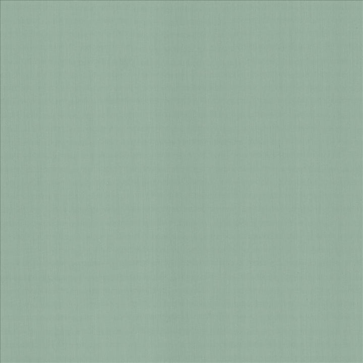 Perception Dew by Kasmir Designer Fabric 5174 100% Cotton
 INDIA </p><p>Repeat: Horizontal: N/A and Vertical: N/A 54 - Swanky Fabrics -