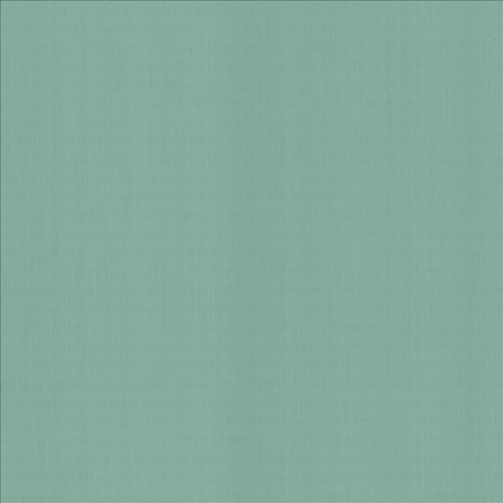 Perception Dew by Kasmir Designer Fabric See sample 100% Cotton
 INDIA 21,000 Wyzenbeek Double Rubs </p><p>Repeat: Horizontal: N/A and Vertical: N/A 54 - Swanky Fabrics -