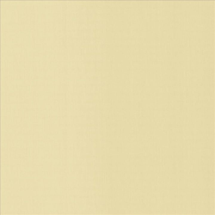 Perception Ecru by Kasmir Designer Fabric 5174 100% Cotton
 INDIA 21,000 Wyzenbeek Double Rubs </p><p>Repeat: Horizontal: N/A and Vertical: N/A 54 - Swanky Fabrics -