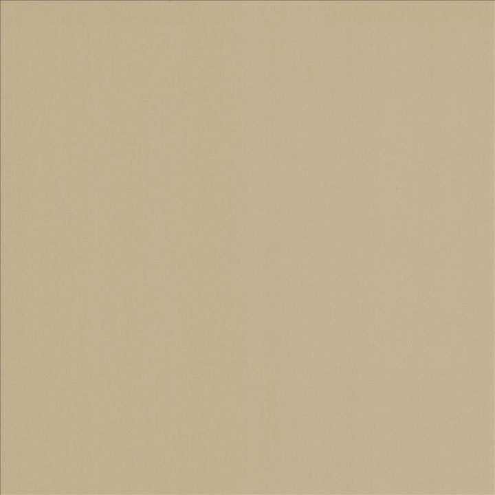 Perception Fog by Kasmir Designer Fabric 5174 100% Cotton
 INDIA </p><p>Repeat: Horizontal: N/A and Vertical: N/A 54 - Swanky Fabrics -