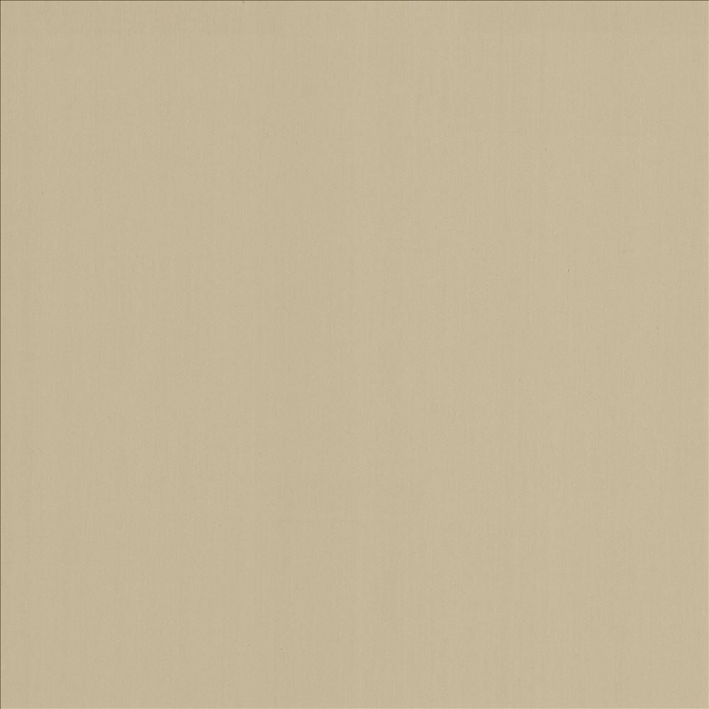 Perception Fog by Kasmir Designer Fabric See sample 100% Cotton
 INDIA 21,000 Wyzenbeek Double Rubs </p><p>Repeat: Horizontal: N/A and Vertical: N/A 54 - Swanky Fabrics -