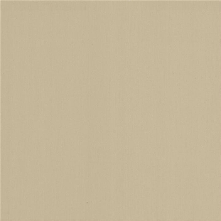 Perception Fog  by Kasmir Designer Fabric 5174 100% Cotton
 INDIA 21,000 Wyzenbeek Double Rubs Horizontal: N/A and Vertical: N/A 54  - Swanky Fabrics -