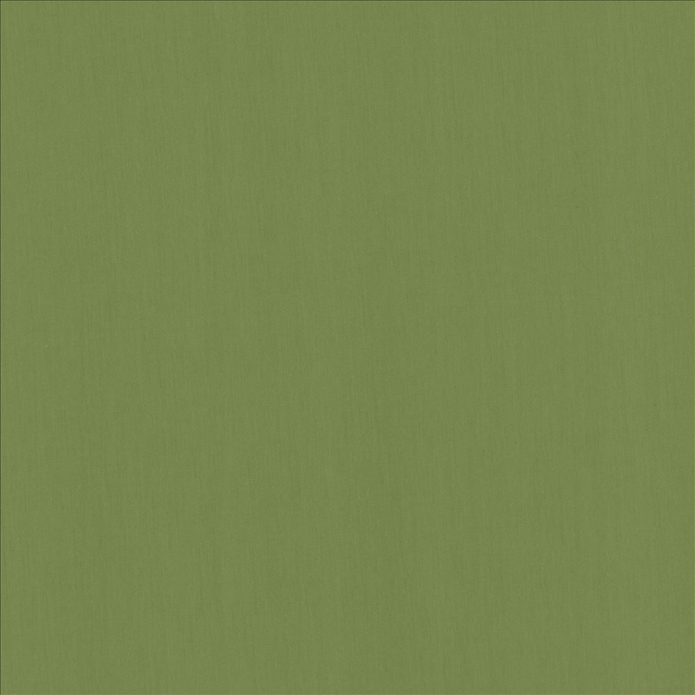 Perception Grass by Kasmir Designer Fabric 5174 100% Cotton
 INDIA 21,000 Wyzenbeek Double Rubs </p><p>Repeat: Horizontal: N/A and Vertical: N/A 54 - Swanky Fabrics -