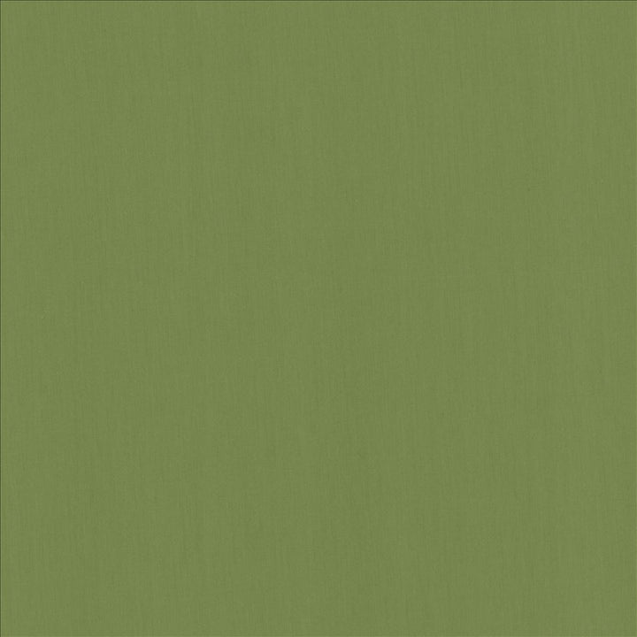 Perception Grass by Kasmir Designer Fabric 5174 100% Cotton
 INDIA 21,000 Wyzenbeek Double Rubs </p><p>Repeat: Horizontal: N/A and Vertical: N/A 54 - Swanky Fabrics -